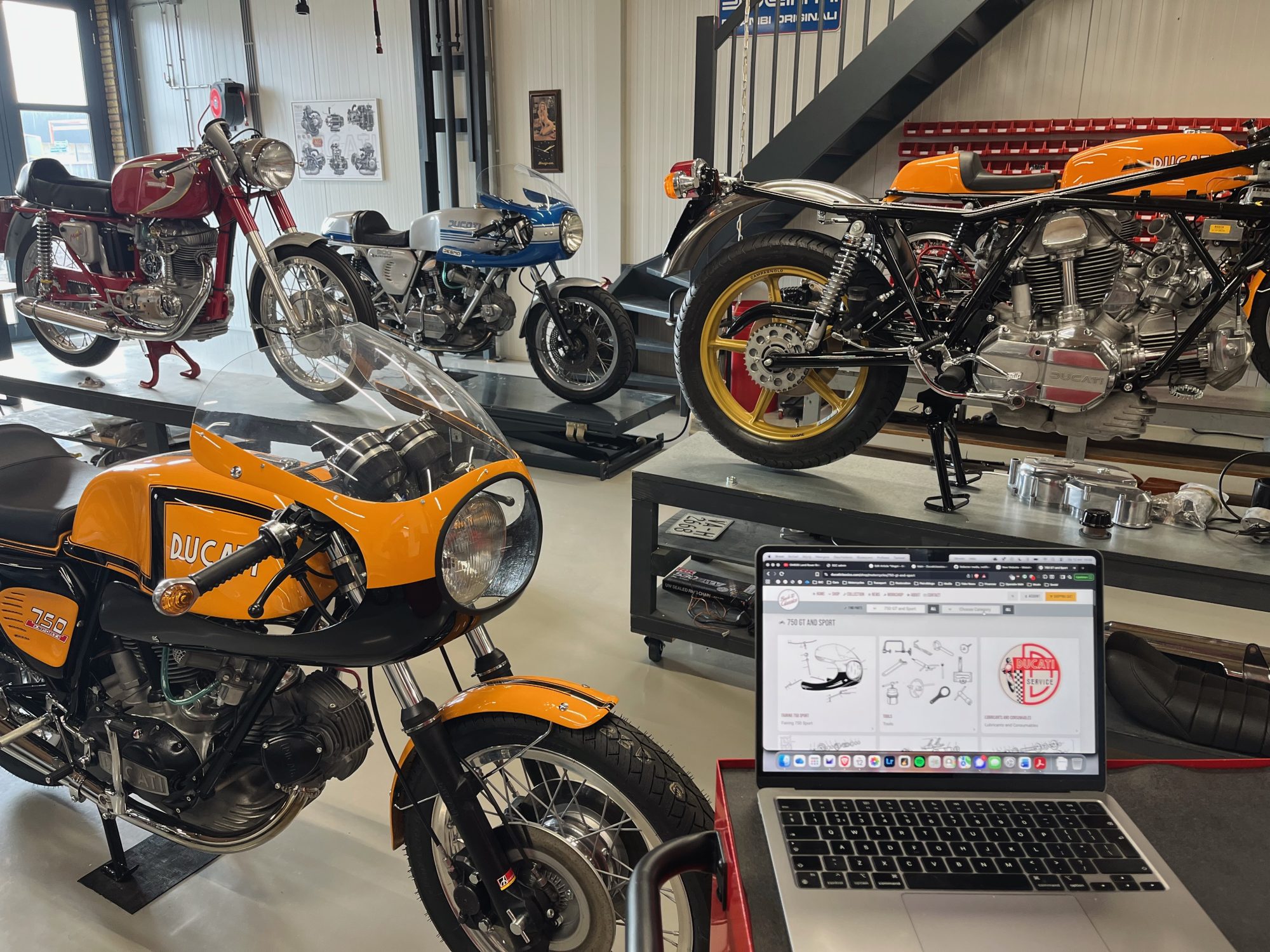 Welcome to Our New Website